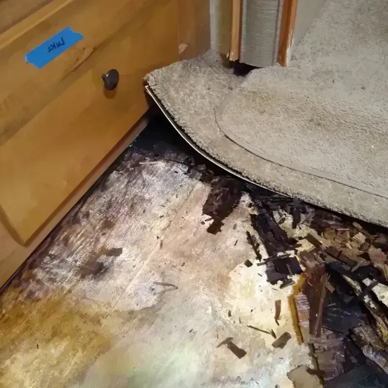 Wood Floor Water Damage in Hunter, TN